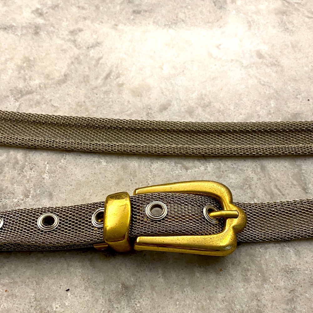 Gold Buckle and Silver Mesh Belt for Women